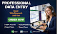 provide data entry services with my professional team