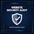 do a complete security audit of your website