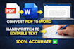 convert image to text or PDF to word manually
