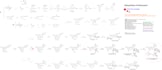 create professional and visually appealing biosynthesis pathway