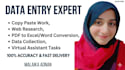 do professional data entry and virtual assistant tasts