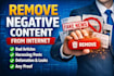 remove mugshots delete negative links,erase bad articles false news in google