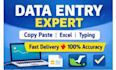 do fast data entry copypaste typing and excel work