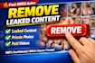 protect your content and remove leaks with dmca requests