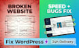 fix wordpress errors bugs and speed issues quickly