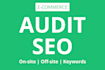 audit your ecommerce website SEO