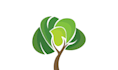 design a professional modern tree logo