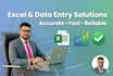 professional data entry and excel solutions