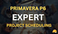 create primavera p6 schedule, gantt chart, wbs and planning