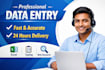 do data entry, copy paste, excel data entry and typing work