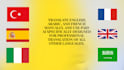 provide fast and accurate translation and writing