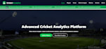 do frontend web development, custom website backend