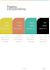 design a professional brand style guide and visual identity