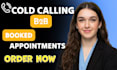 do b2b cold calling, USA b2b appointment setting, real estate cold calling
