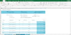 do fast and accurate data entry, data analysis, data quality, and analytics