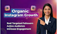 super fast organic instagram growth