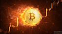 develop daily withdrawal bitcoin bot, btc app on your device