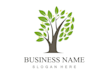 make high quality professional human tree logo design
