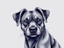 draw custom pet illustration in tattoo style