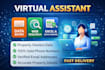 be your expert virtual assistant for data entry