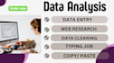 do data entry, web research, excel, admin wo,email, copy paste,data clearing