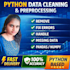 do professional data cleaning and preprocessing in python