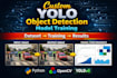 train a custom yolo object detection model for your images or video