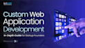 develop custom web app software solutions for business or startup from scratch