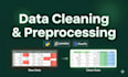 clean ,preprocess and fix your messy  dataset using python