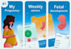 develop period tracker app pregnancy tracker app
