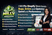 fix shopify store issues, bugs, errors and optimize speed and performance