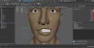 fix 3d face control rig, skin weighting,face expressions,lip syncing, blendshape