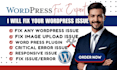 fix wordpress errors, bugs, and website issues fast