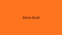 do shopify audit for your store