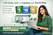 clean, sort, or organize your excel data