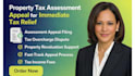 prepare a full property tax reduction and dcad protest filing