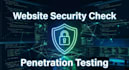 website security testing and penetration testing professionally