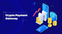 setup nmi 2d 3d payment gateway, crypto payment processor, iptv payment gateway