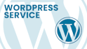 develop and maintenance your wordpress website