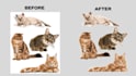 cute stickers with animals and pets