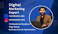 do professional facebook page setup and ads campaign