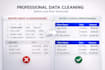do expert data entry web research and excel cleaning