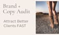 brand discovery and copy audit
