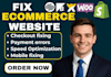 fix ecommerce checkout, payment errors, slow speed, website 404 issues fast
