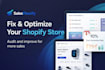 audit and optimize your store for high conversion and sales