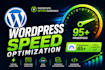 speed up your wordpress site and fix core web vitals