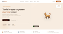 create a professional woocommerce store with SEO strategy