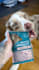 converting ugc video ads with pets
