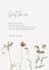 create original poems, songs and lyrics