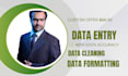 professional data entry, data mining and web research